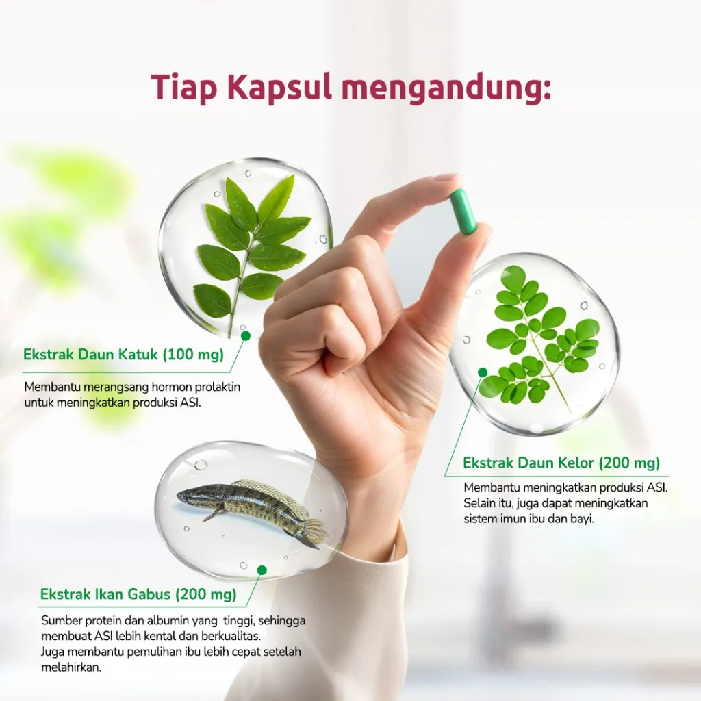 Andalan Nutrifeme Lactaboost - 30 Kaplet